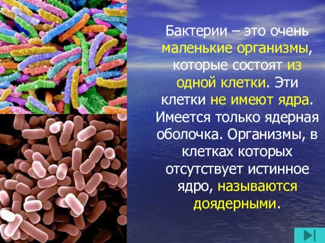 Бактерии – это очень маленькие организмы, которые состоят из одной клетки. Эти