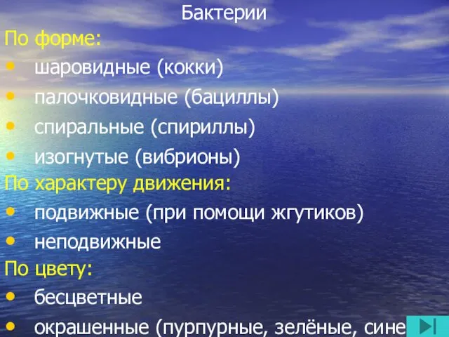 Бактерии По форме: шаровидные (кокки) палочковидные (бациллы) спиральные (спириллы) изогнутые (вибрионы) По