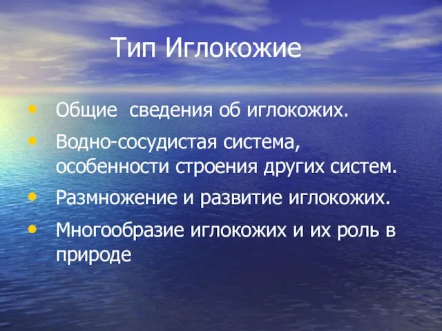 Тип Иглокожие Общие сведения об иглокожих. Водно-сосудистая система, особенности строения других систем.