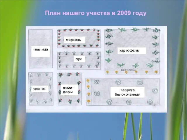 План нашего участка в 2009 году