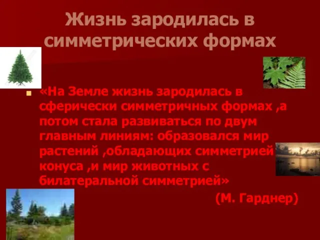 Жизнь зародилась в симметрических формах «На Земле жизнь зародилась в сферически симметричных