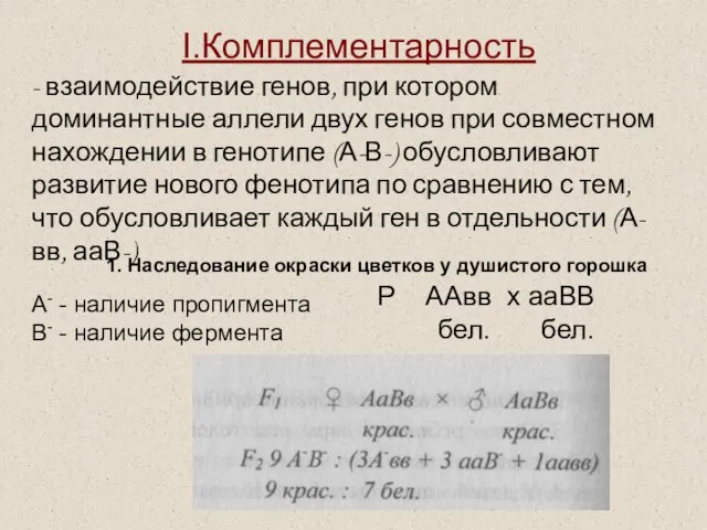 I.Комплементарность - взаимодействие генов, при котором доминантные аллели двух генов при совместном