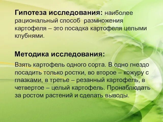 Гипотеза исследования: наиболее рациональный способ размножения картофеля – это посадка картофеля целыми