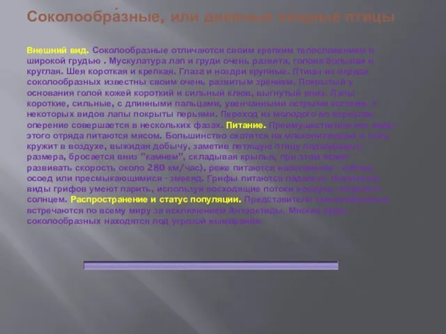 Соколообра́зные, или дневны́е хи́щные пти́цы Внешний вид. Соколообразные отличаются своим крепким телосложением