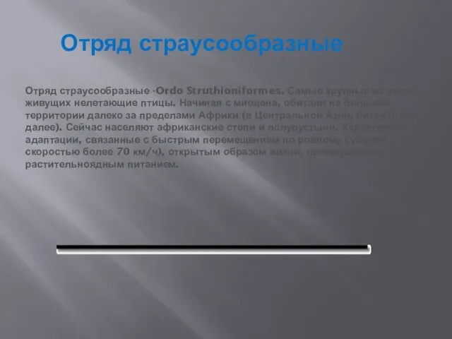 Отряд страусообразные Отряд страусообразные -Ordo Struthioniformes. Самые крупные из ныне живущих нелетающие