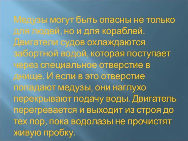 Медузы могут быть опасны не только для людей, но и для кораблей.