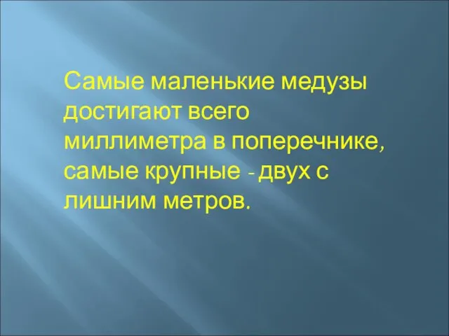 Самые маленькие медузы достигают всего миллиметра в поперечнике, самые крупные - двух с лишним метров.