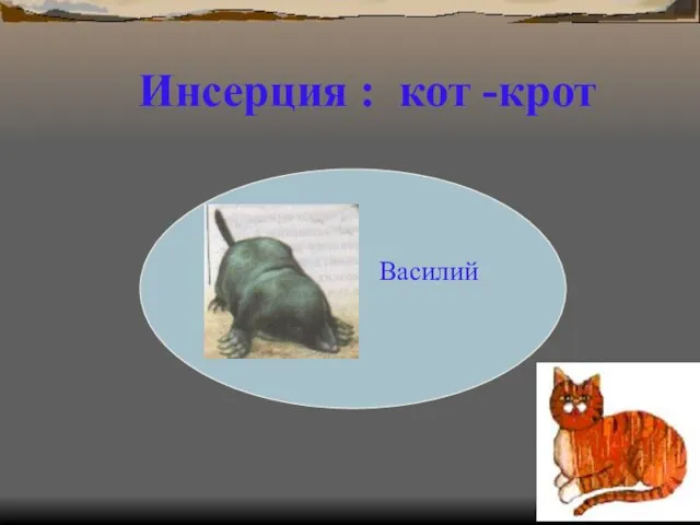 Василий Р Инсерция : кот -крот