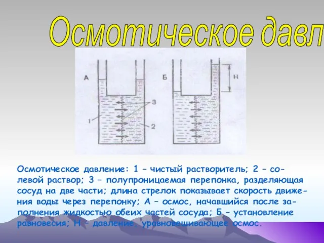 Осмотическое давление Осмотическое давление: 1 – чистый растворитель; 2 – со-левой раствор;