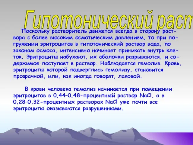 Гипотонический раствор Поскольку растворитель движется всегда в сторону раст-вора с более высоким