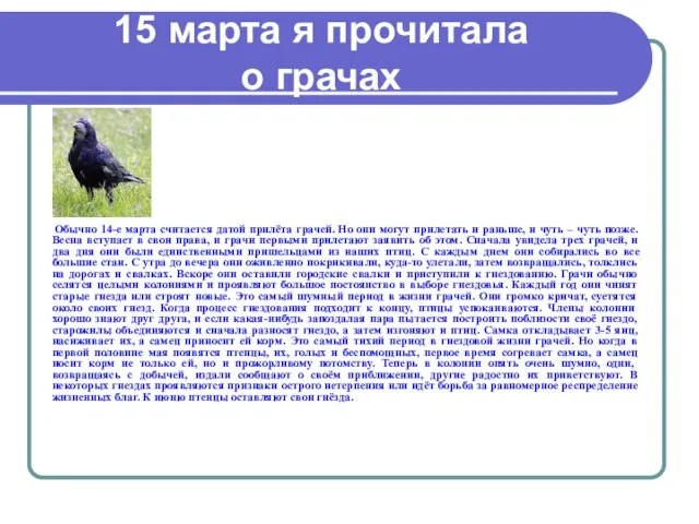 15 марта я прочитала о грачах Обычно 14-е марта считается датой прилёта