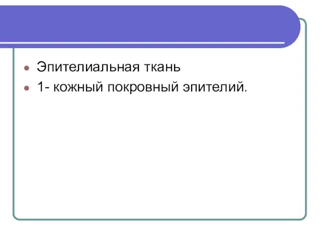 Эпителиальная ткань 1- кожный покровный эпителий.