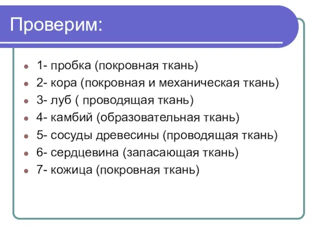 Проверим: 1- пробка (покровная ткань) 2- кора (покровная и механическая ткань) 3-