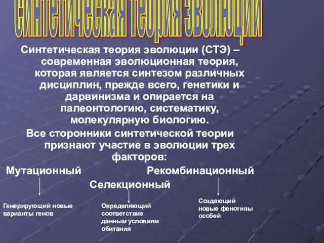 Синтетическая теория эволюции (СТЭ) – современная эволюционная теория, которая является синтезом различных