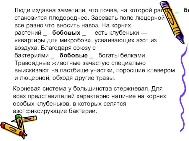 Люди издавна заметили, что почва, на которой растут бобовые , становится плодороднее.