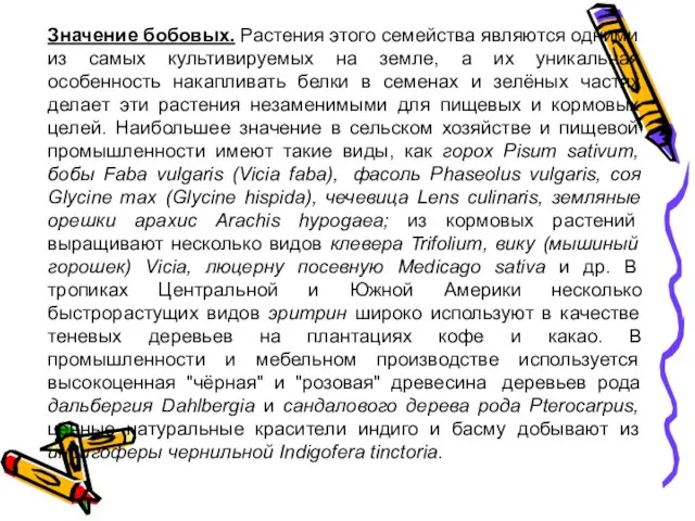 Значение бобовых. Растения этого семейства являются одними из самых культивируемых на земле,