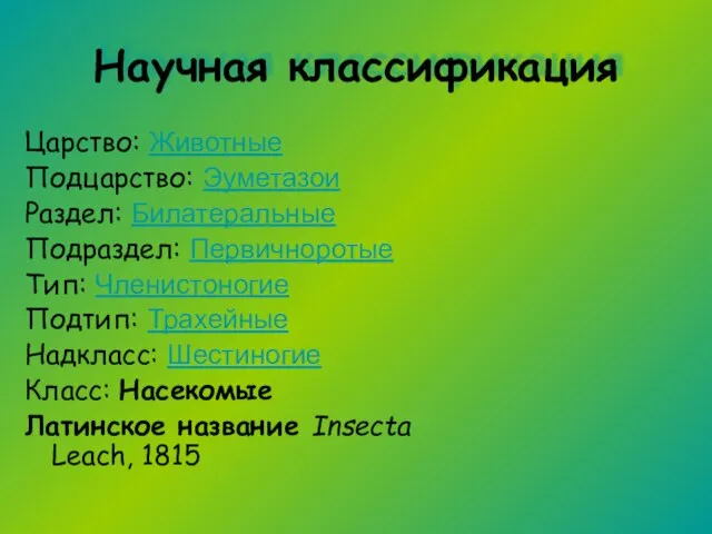 Научная классификация Царство: Животные Подцарство: Эуметазои Раздел: Билатеральные Подраздел: Первичноротые Тип: Членистоногие