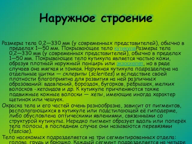 Наружное строение Размеры тела 0,2—330 мм (у современных представителей), обычно в пределах