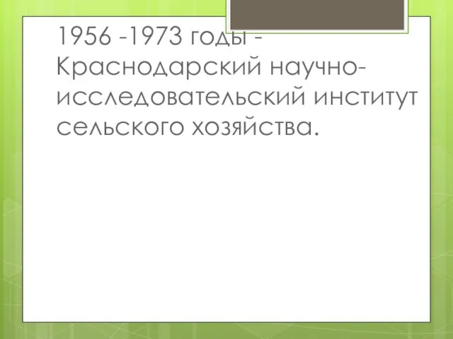 1956 -1973 годы - Краснодарский научно-исследовательский институт сельского хозяйства.