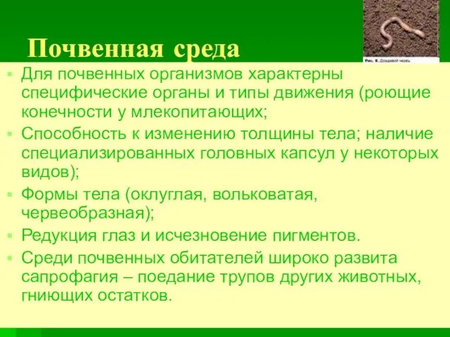 Почвенная среда Для почвенных организмов характерны специфические органы и типы движения (роющие