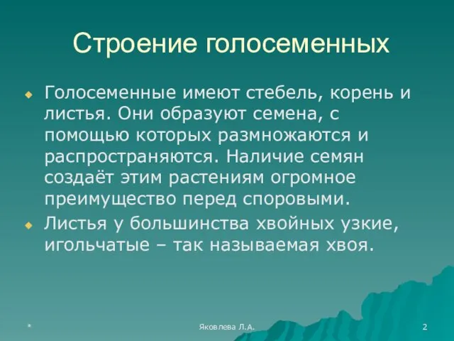 * Яковлева Л.А. Строение голосеменных Голосеменные имеют стебель, корень и листья. Они