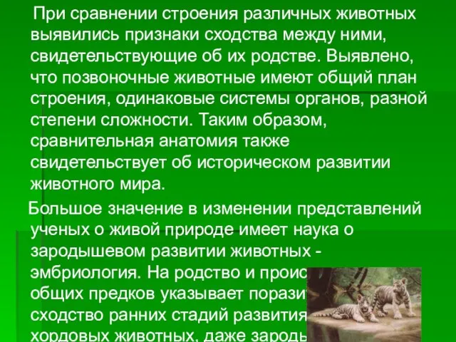 При сравнении строения различных животных выявились признаки сходства между ними, свидетельствующие об