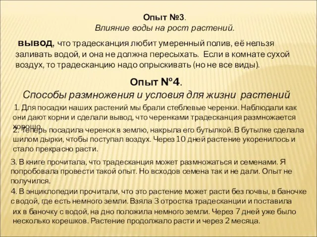 Опыт №3. Влияние воды на рост растений. вывод, что традесканция любит умеренный