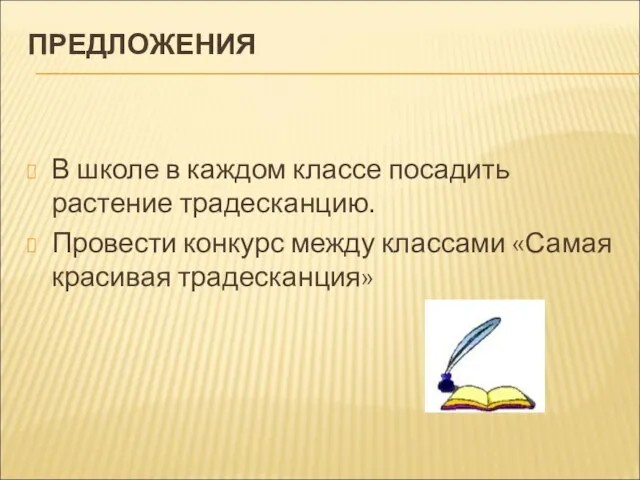 ПРЕДЛОЖЕНИЯ В школе в каждом классе посадить растение традесканцию. Провести конкурс между классами «Самая красивая традесканция»