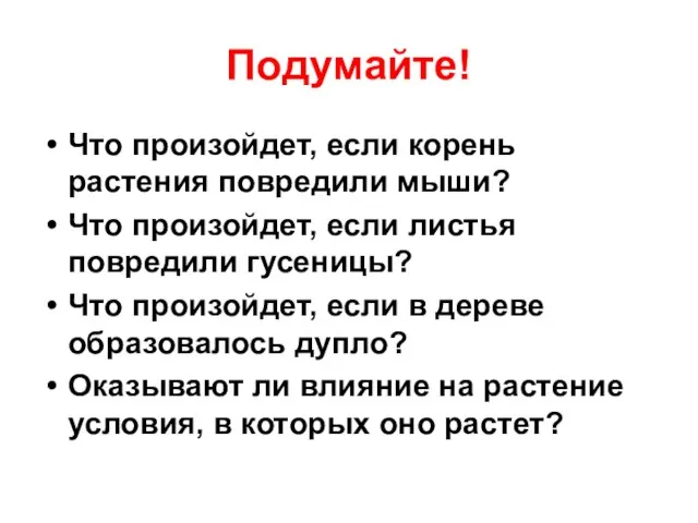 Подумайте! Что произойдет, если корень растения повредили мыши? Что произойдет, если листья