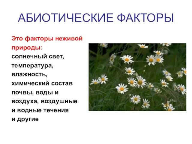 АБИОТИЧЕСКИЕ ФАКТОРЫ Это факторы неживой природы: солнечный свет, температура, влажность, химический состав