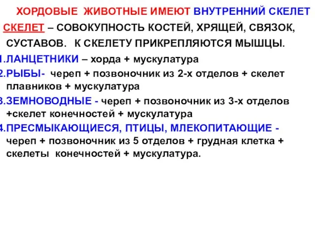 ХОРДОВЫЕ ЖИВОТНЫЕ ИМЕЮТ ВНУТРЕННИЙ СКЕЛЕТ СКЕЛЕТ – СОВОКУПНОСТЬ КОСТЕЙ, ХРЯЩЕЙ, СВЯЗОК, СУСТАВОВ.