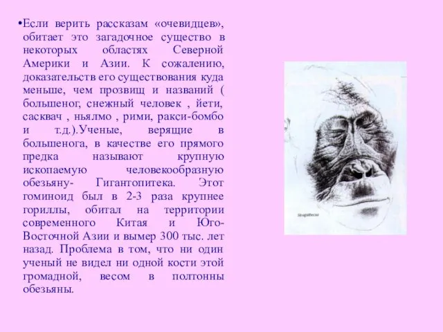 Если верить рассказам «очевидцев», обитает это загадочное существо в некоторых областях Северной