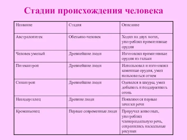 Стадии происхождения человека