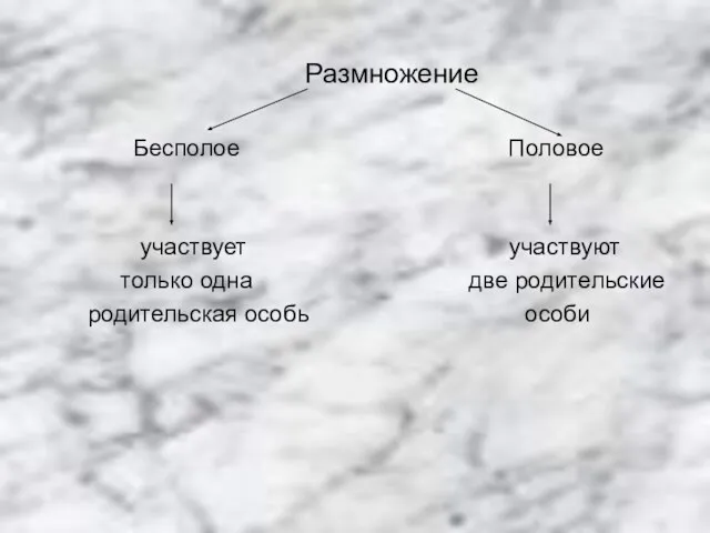 Размножение Бесполое Половое участвует участвуют только одна две родительские родительская особь особи