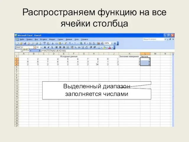 Распространяем функцию на все ячейки столбца Выделенный диапазон заполняется числами