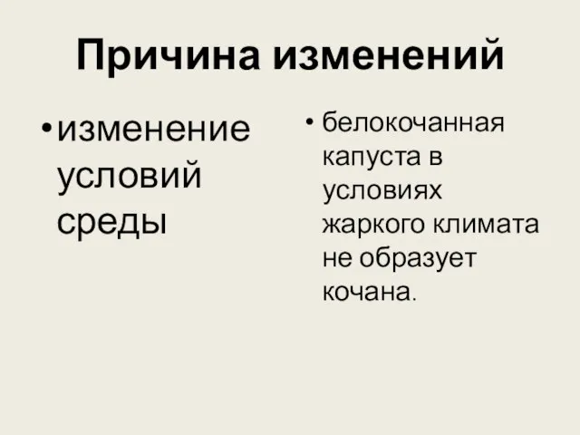 Причина изменений изменение условий среды белокочанная капуста в условиях жаркого климата не образует кочана.