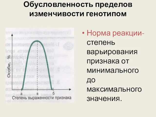 Обусловленность пределов изменчивости генотипом Норма реакции- степень варьирования признака от минимального до максимального значения.