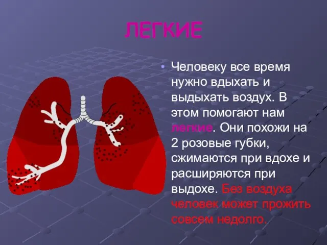 ЛЕГКИЕ Человеку все время нужно вдыхать и выдыхать воздух. В этом помогают