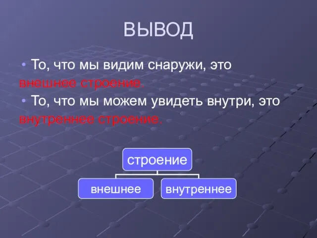 ВЫВОД То, что мы видим снаружи, это внешнее строение. То, что мы