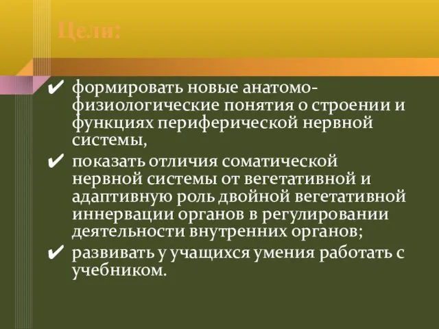 Цели: формировать новые анатомо-физиологические понятия о строении и функциях периферической нервной системы,