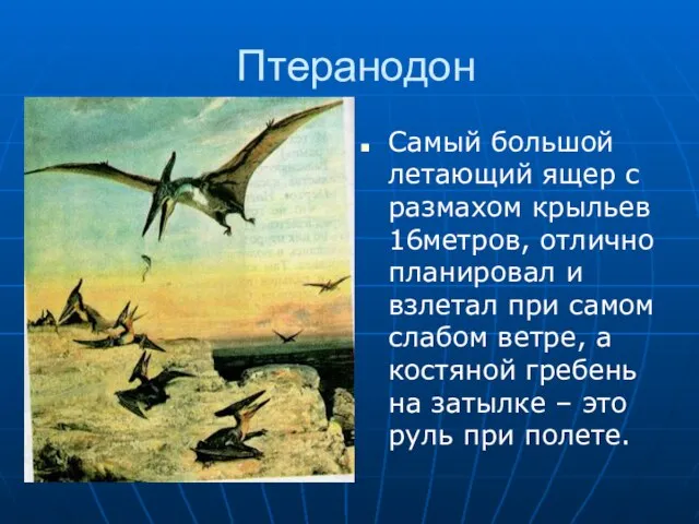 Птеранодон Самый большой летающий ящер с размахом крыльев 16метров, отлично планировал и