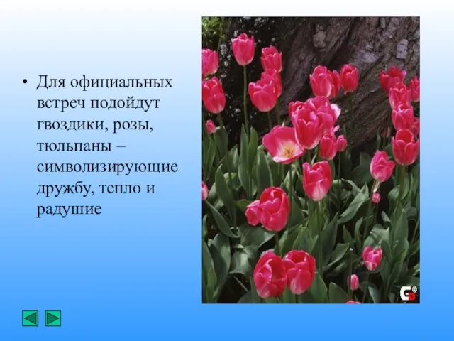 Для официальных встреч подойдут гвоздики, розы, тюльпаны –символизирующие дружбу, тепло и радушие