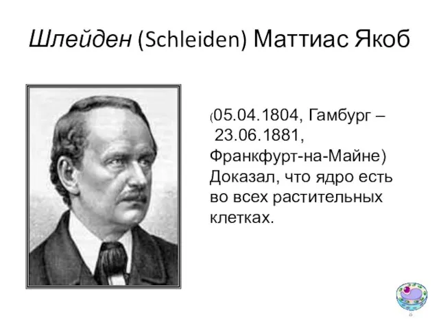 Шлейден (Schleiden) Маттиас Якоб (05.04.1804, Гамбург – 23.06.1881, Франкфурт-на-Майне) Доказал, что ядро