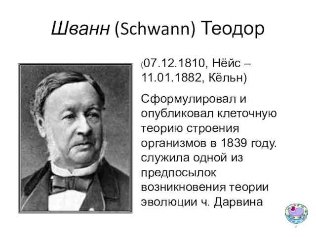 Шванн (Schwann) Теодор (07.12.1810, Нёйс – 11.01.1882, Кёльн) Сформулировал и опубликовал клеточную