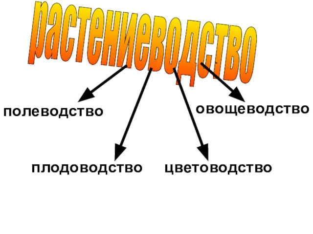 растениеводство полеводство овощеводство плодоводство цветоводство