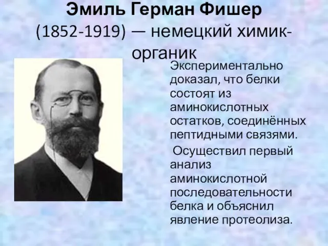 Эмиль Герман Фишер (1852-1919) — немецкий химик-органик Экспериментально доказал, что белки состоят