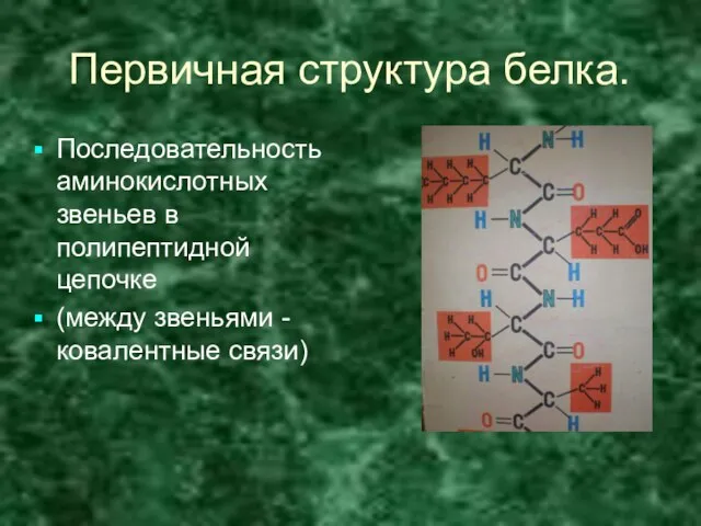 Первичная структура белка. Последовательность аминокислотных звеньев в полипептидной цепочке (между звеньями -ковалентные связи)