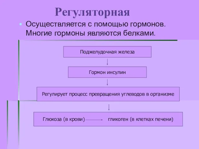 Регуляторная Осуществляется с помощью гормонов. Многие гормоны являются белками. Поджелудочная железа Гормон