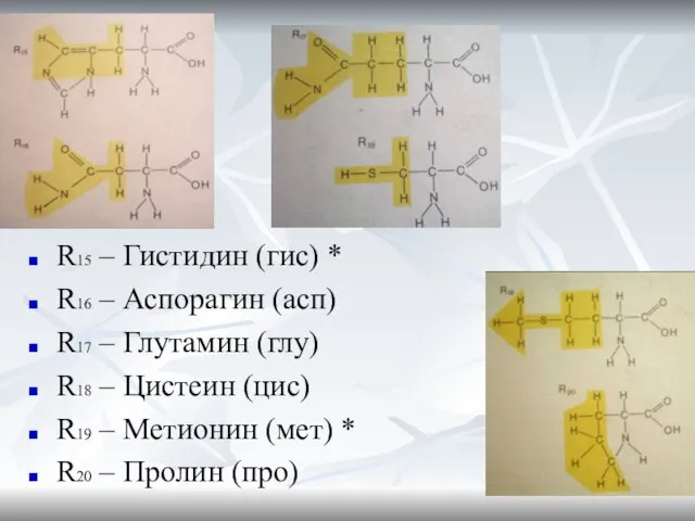 R15 – Гистидин (гис) * R16 – Аспорагин (асп) R17 – Глутамин