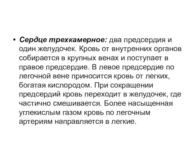 Сердце трехкамерное: два предсердия и один желудочек. Кровь от внутренних органов собирается